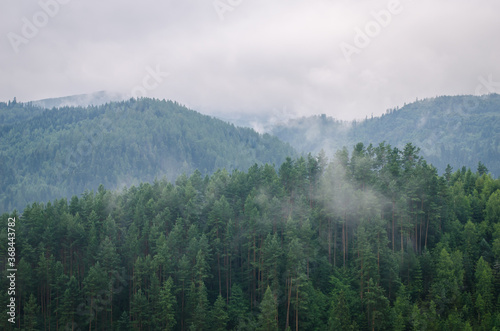 Beautiful green  forest mountains wiht fog © Vitaliy