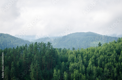 Beautiful green forest mountains wiht fog