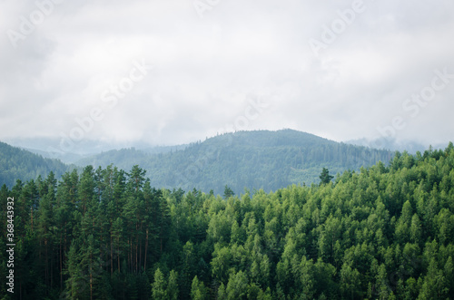 Beautiful green forest mountains wiht fog