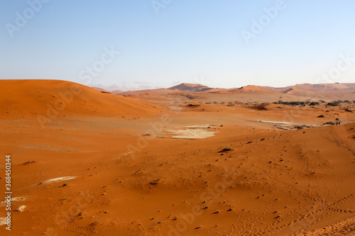 The sand dunes of the Namib-Naukluft Park  Namibia  Africa