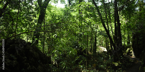 Few Amount of Sunshine Are Coming Through The Very Dense Green Forest Near Mawsmai Cave In Meghalaya In India photo