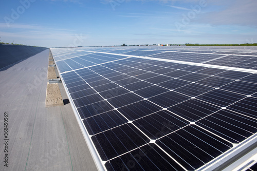 Solar photovoltaic modules installed in a power generation plant