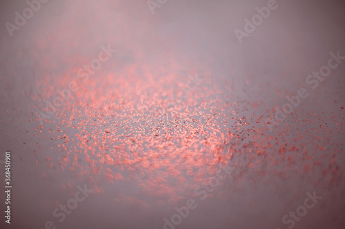 Coral abstract background with small bokeh defocused lights.