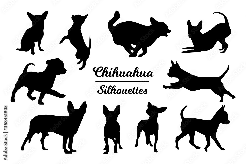 Chihuahua dog silhouettes. Black and white outline