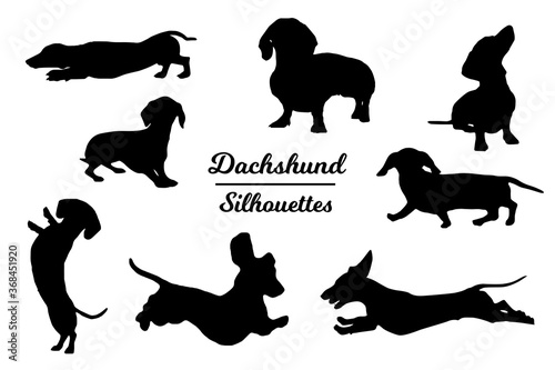 Dachshund dog silhouettes. Black and white outline