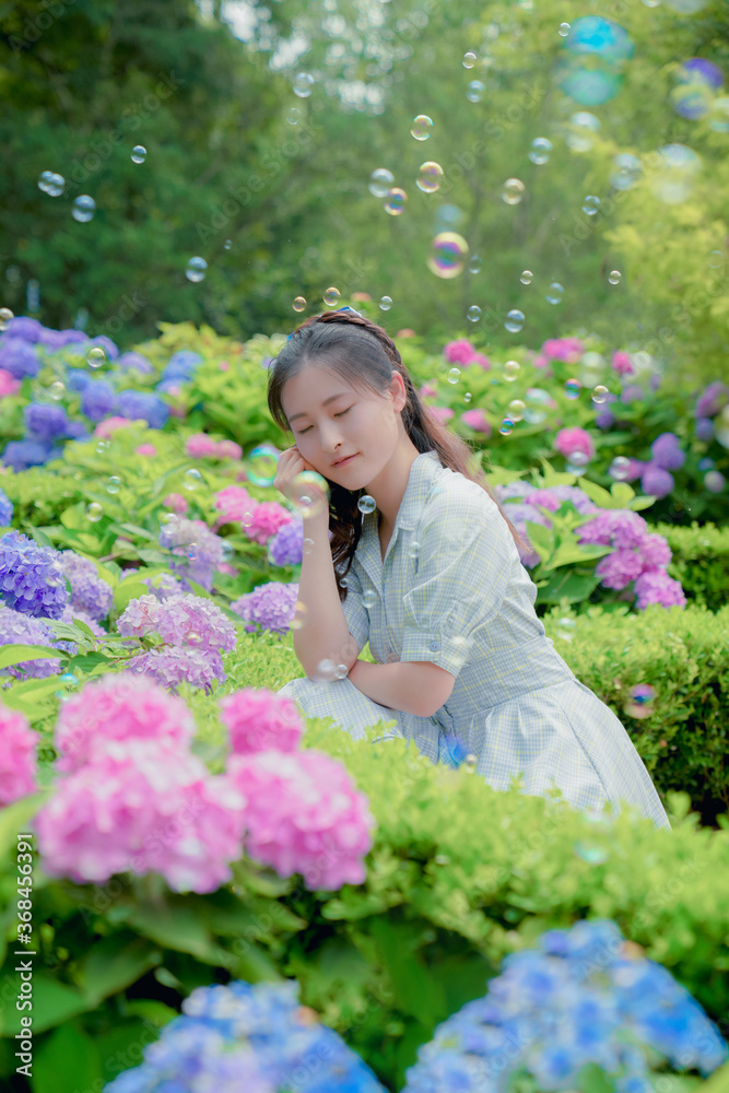 The hydrangea garden in rainy season, the girl strolls happily in the garden The hydrangea garden in rainy season, the girl strolls happily in the garden