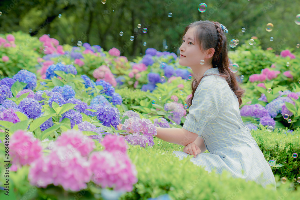 The hydrangea garden in rainy season, the girl strolls happily in the garden The hydrangea garden in rainy season, the girl strolls happily in the garden