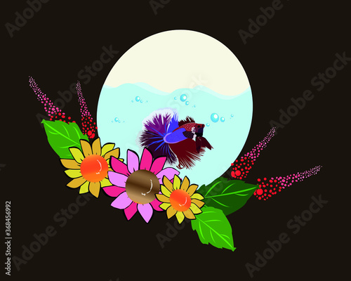 betafish photo