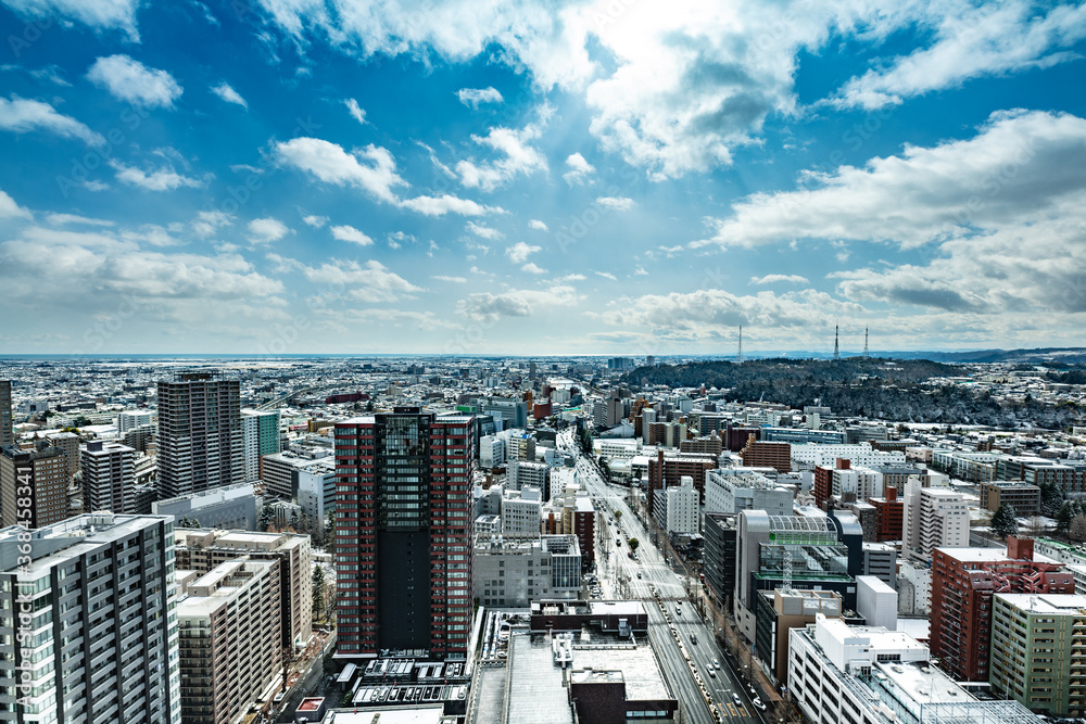 Obraz premium 日本 雪化粧の市街風景