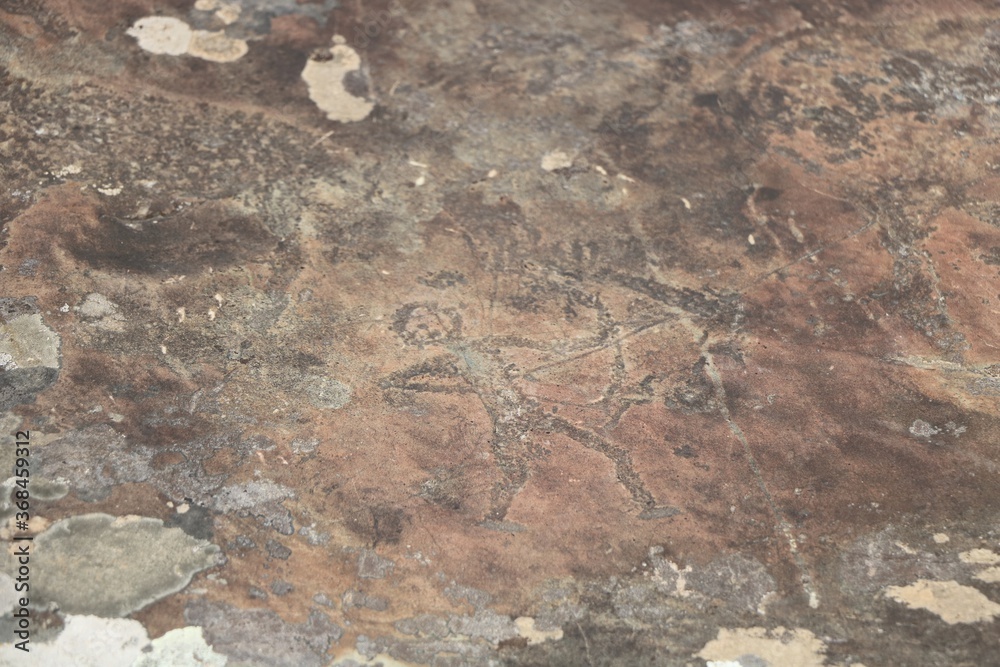 Fototapeta premium Cave drawings on Altai rock