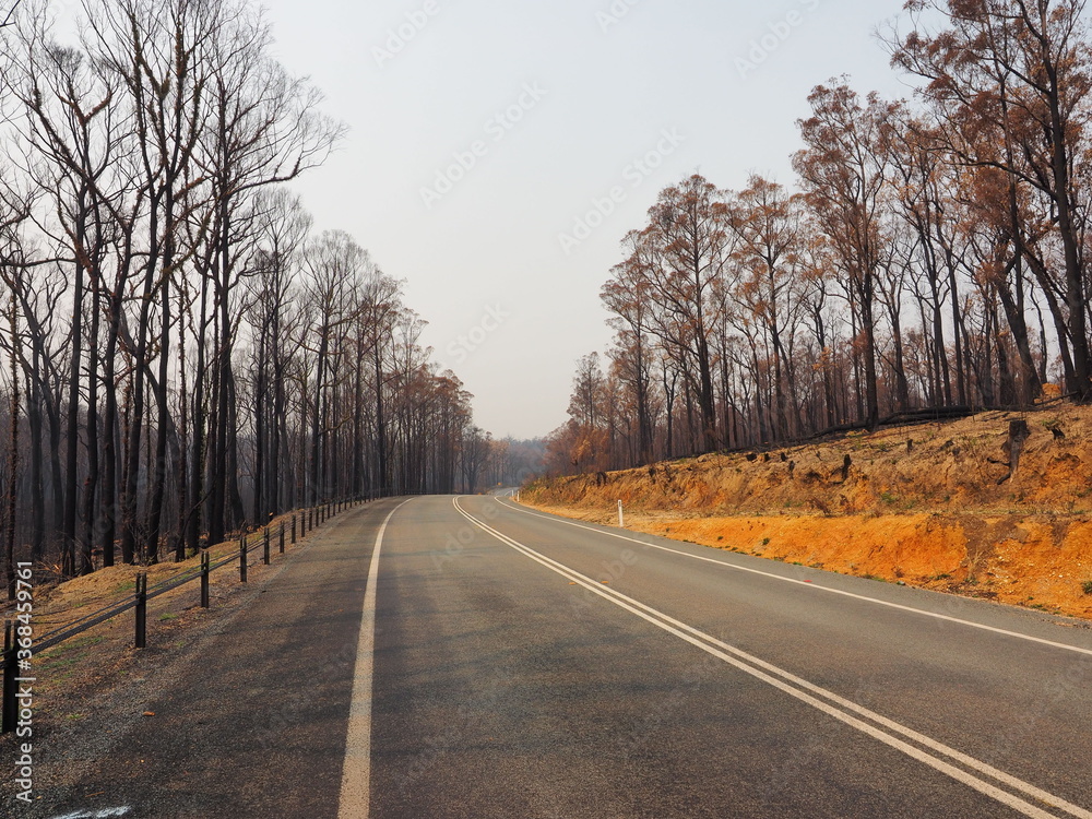 Fototapeta premium Australijski pożar