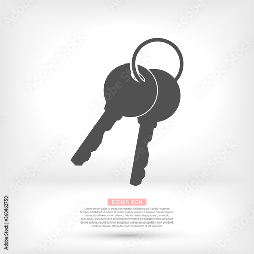 Vector icon key, design illustration for web key. Flat style key.