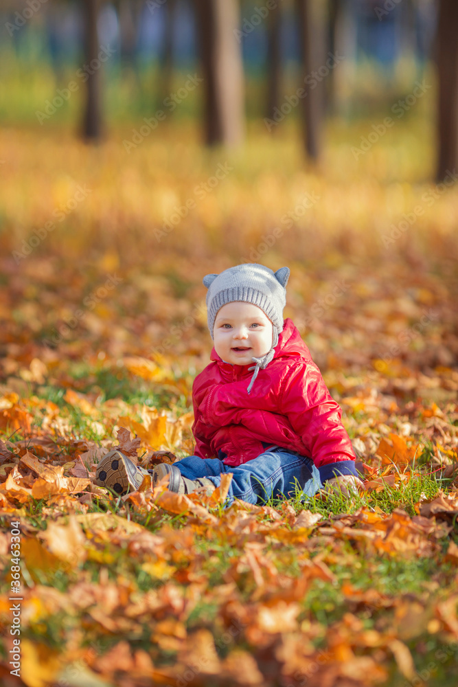 happy boy and fallen leaves playing in autumn park. happy boy and fallen leaves playing in autumn park.