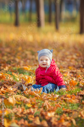 happy boy and fallen leaves playing in autumn park.