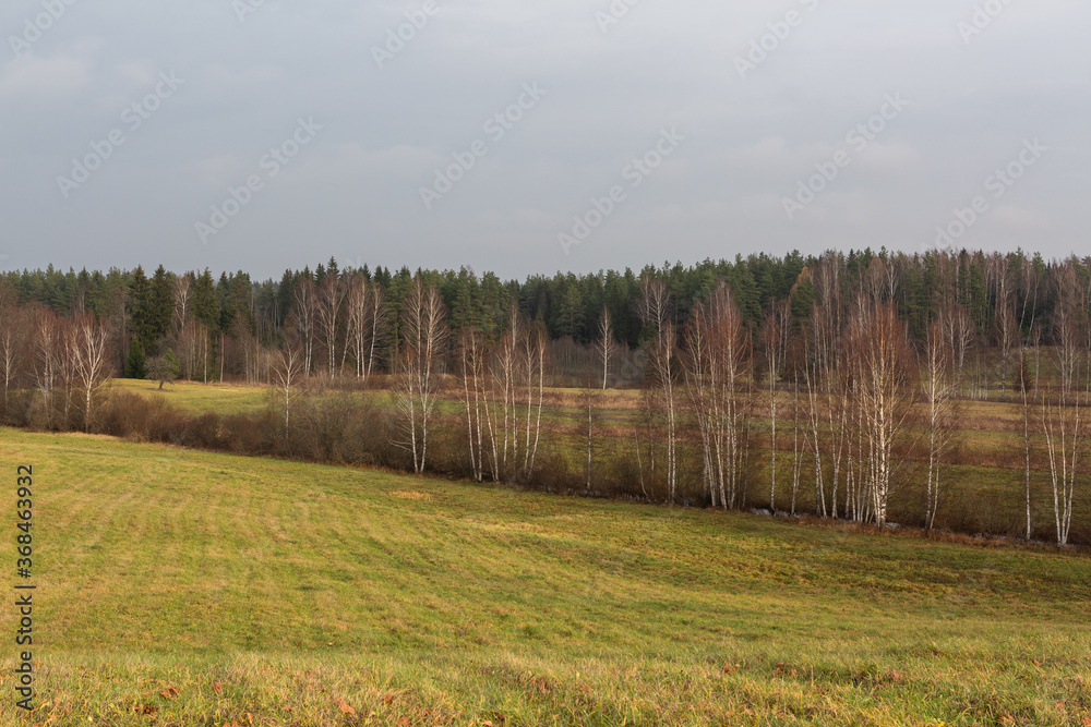 autumn landscapes with clouds, fields and forests autumn landscapes with clouds, fields and forests