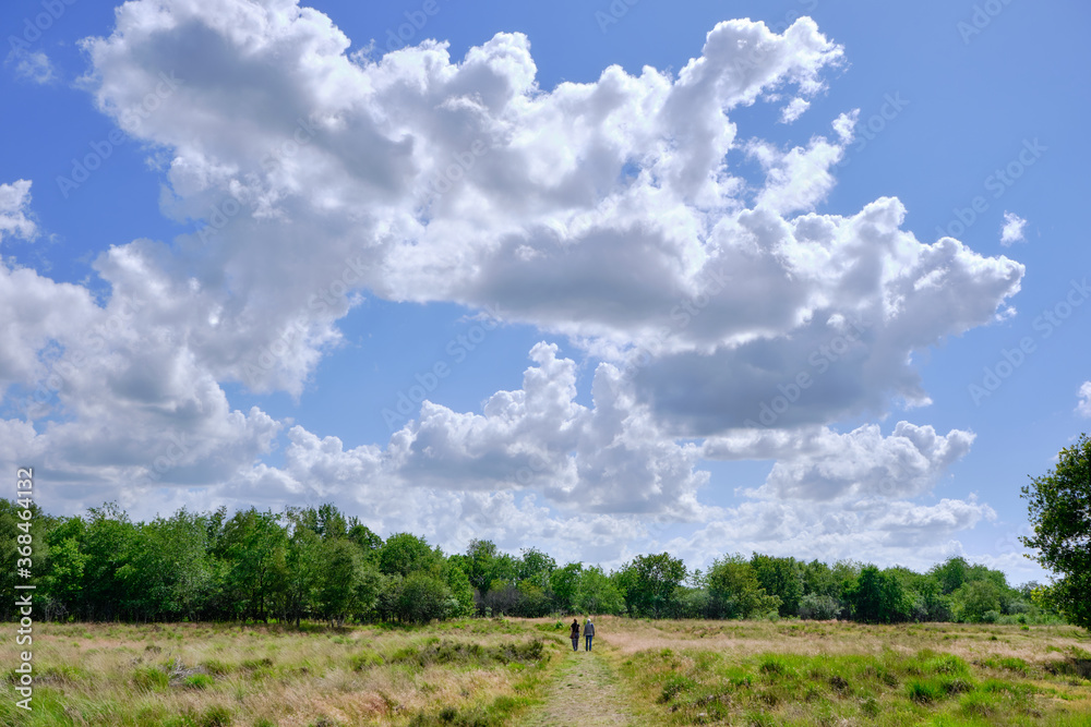 Field with two unrecognizable adult people walk in distance. Walking in nature, talking and being heard and relaxing. The Netherlands, sunny day blue sky and white clouds.