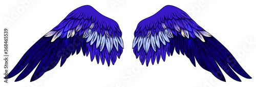 Beautiful bright electric blue vector wings