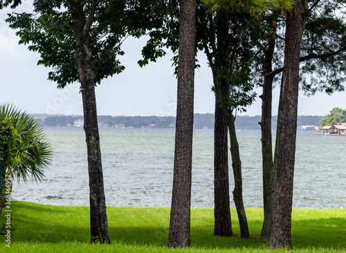 a view through trees of Lake Conroe in Texas.
