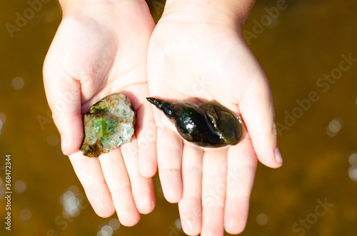 A little girl holding a shell and a stone in the hands. A child stands in the water of a lake on a Sunny summer day. Vacation concept.