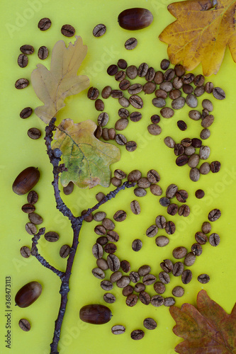 Flat lay  of   green and brown    coffee beans, acorn and  twig with yellow leaf of oak on yellow paper © foryouinf