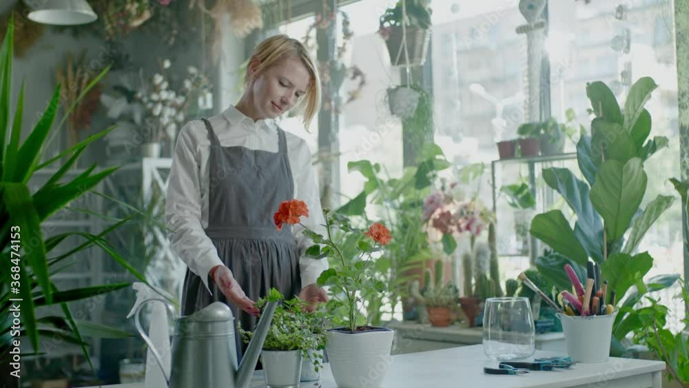 Nice Florist Checks a Growth of a Flowers.