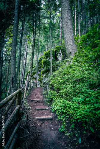 Wooden stairway in the mountain  dangerous place. Extreme travelling at the mossy forest. Pathway in a rock rift.