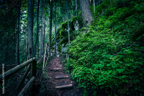 Wooden stairway in the mountain  dangerous place. Extreme travelling at the mossy forest. Pathway in a rock rift.