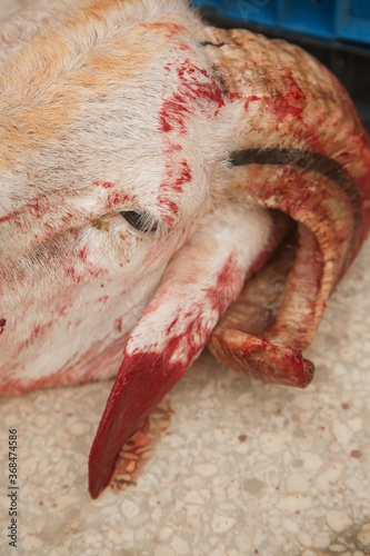 the severed head of a lamb is covered in blood on the floor