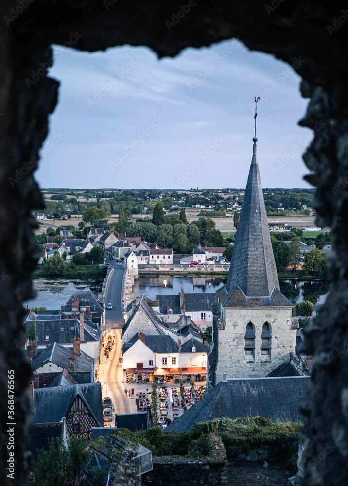 View over the city of Montrichard and Loire Valley