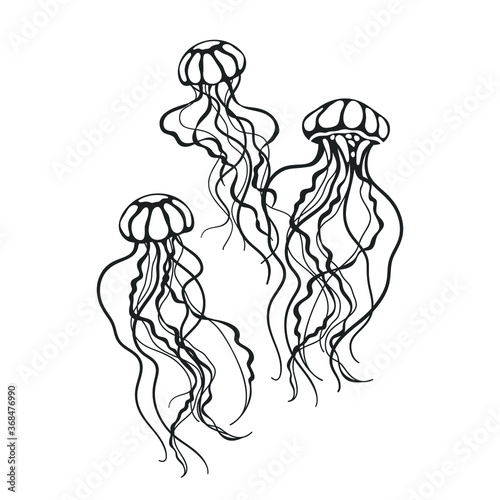 Jellyfish SVG. Jellyfish drawing.