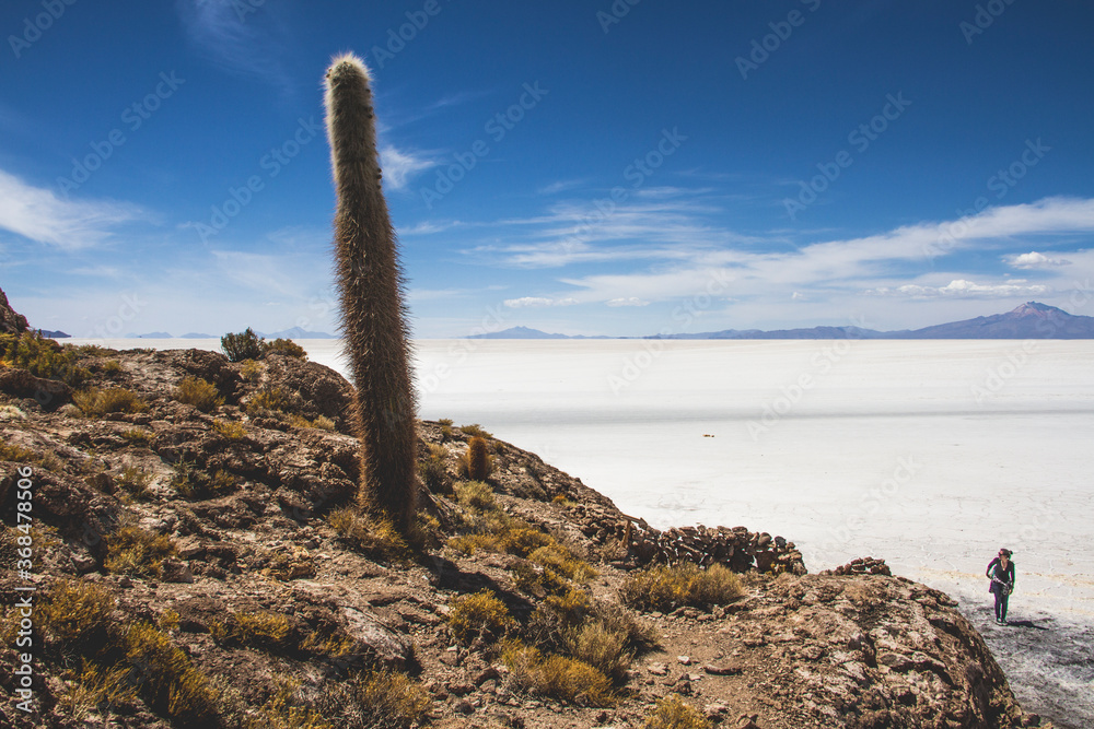 salar de uyuni