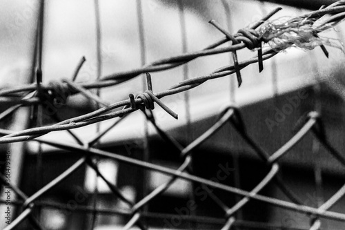 Close-up of barbed wire.