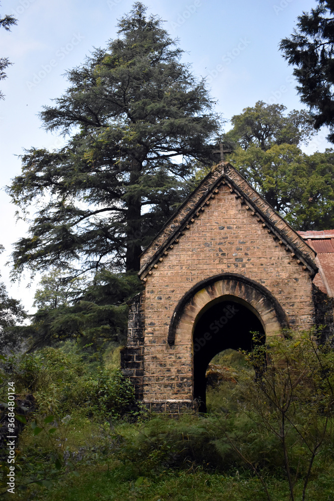 Fototapeta premium Beautiful old church and big green tree in nainital