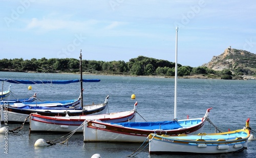 magnifiques barques multicolores sur la Méditerranée face à l'île des Embiez
