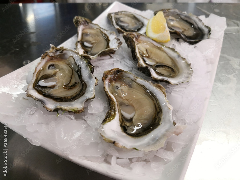 Oysters on crushed ice served at market Oysters on crushed ice served at market