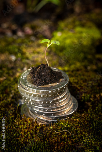 Green Sprout on top of stack of euro coins on moss