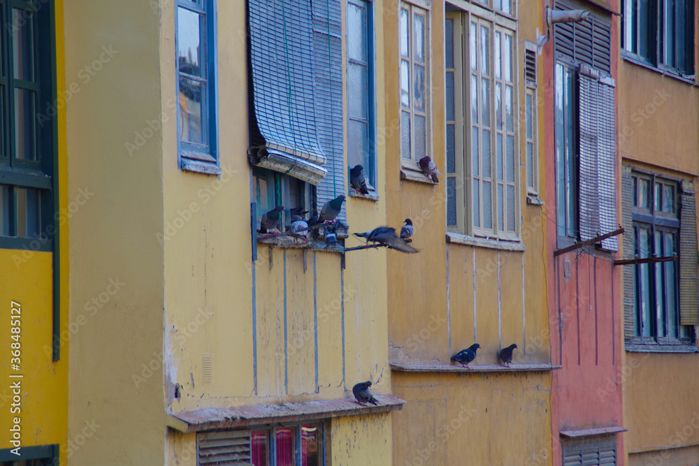 colorful houses and pigeons