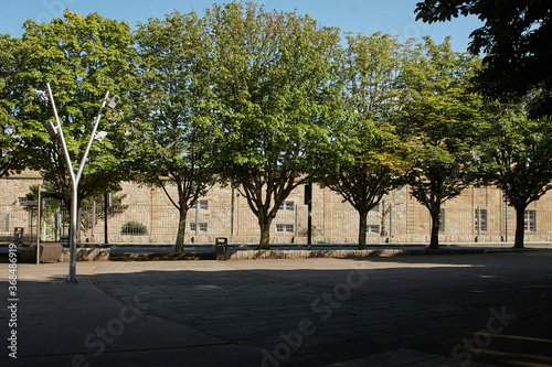 Street with stone wall and trees