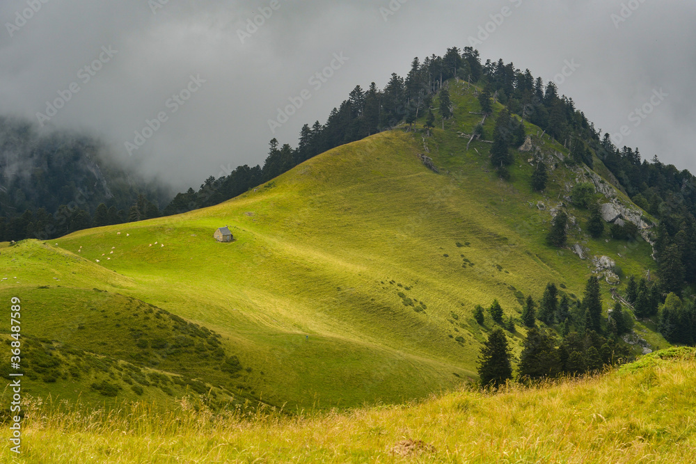 bergerie pyrénéenne