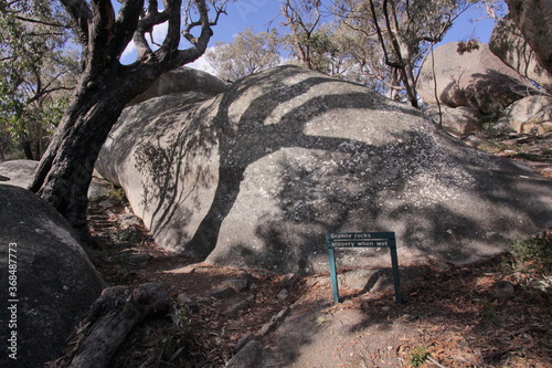 Girraween NP in New South Wales in Australia
 photo