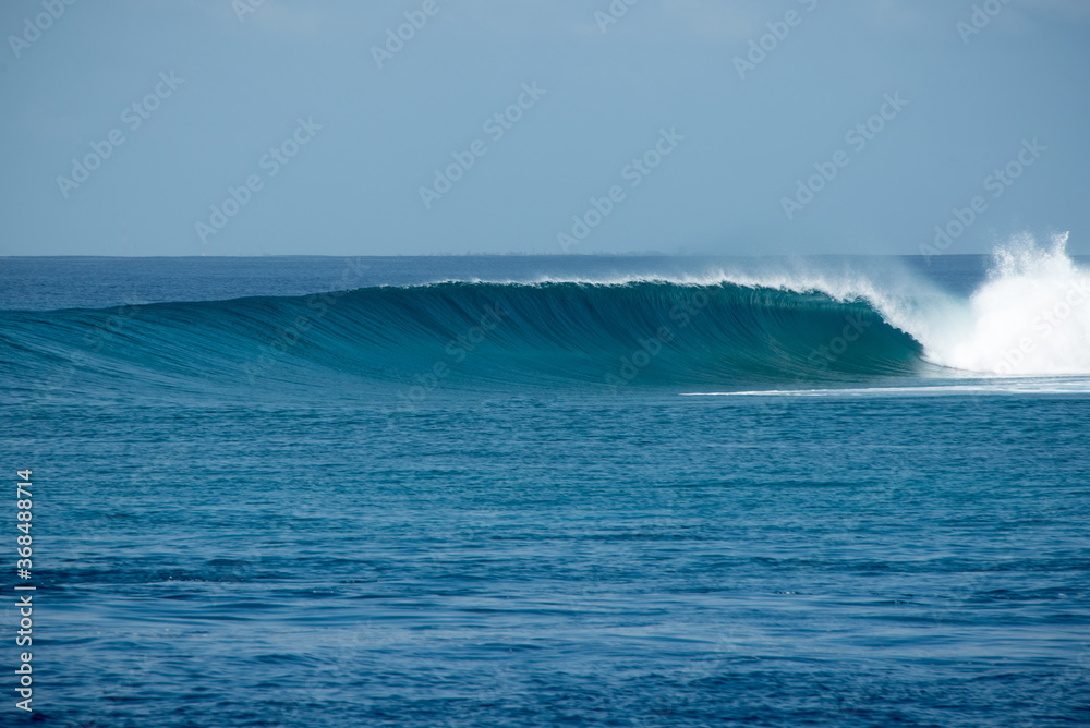 Perfect blue aquamarine wave, empty line up, perfect for surfing, clean water, Indian Ocean