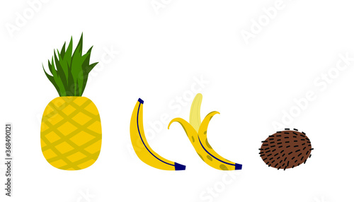 Doodle fruits. Natural tropical fruit, doodles citrus orange and vitamin lemon. Vector isolated icons illustration set. Banana. Coconut. ananas