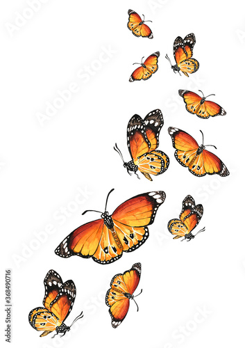 Flying Butterflies