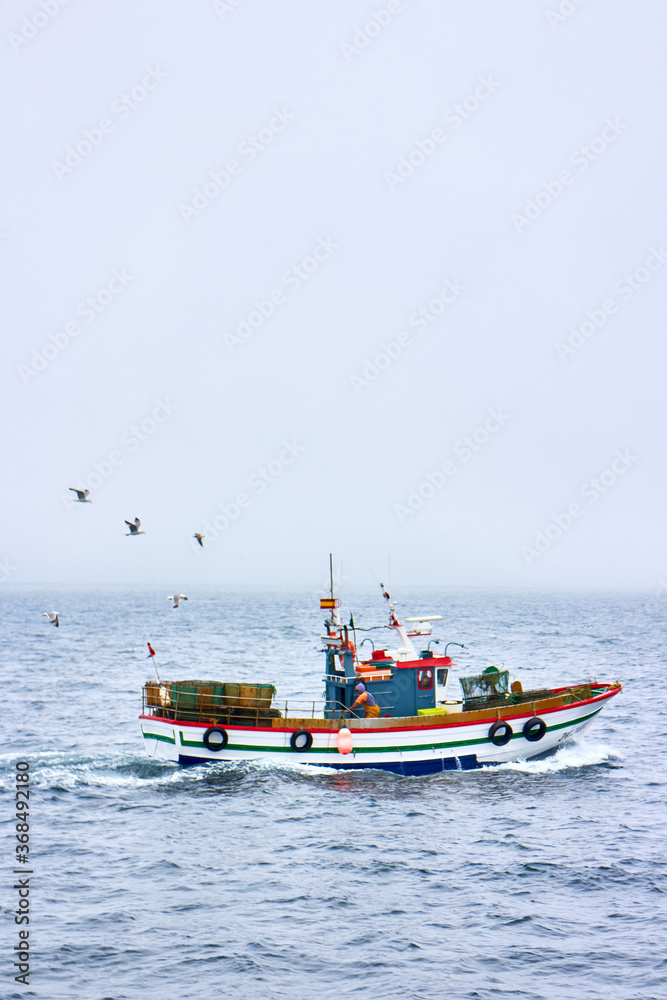 fishing boat fishing surrounded by seagulls