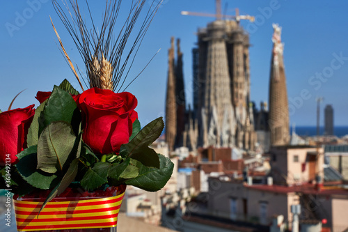 Photography Una rosa con la Sagrada Familia de fondo en San Jordi 2020