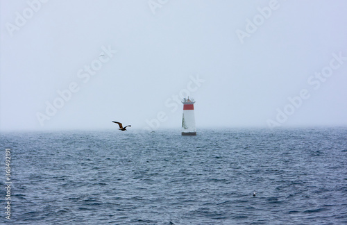 blue sea and cloudy sky landscape with red and white lighthouse with gull