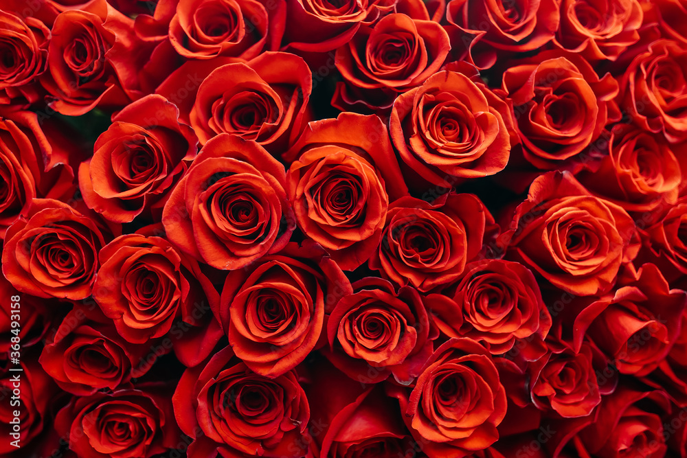 Close-up of a big bouquet of red roses. Close-up of a big bouquet of red roses.