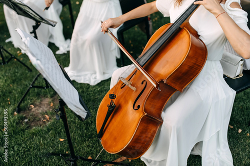 Canvas Print Woman wearing a maxi white dress, playing contra bass outdoors, close-up