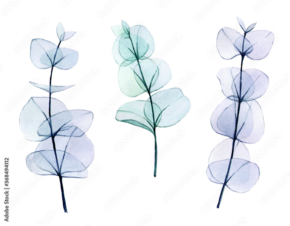 watercolor set of transparent colored eucalyptus leaves. delicate drawing in pastel colors, eucalyptus branches x-ray. vintage design element for wedding, cosmetics, perfumery.