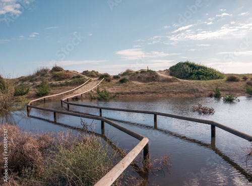 Wallpaper Mural background, flood, water, nature reserve, nature, pathway, sand dunes, sky, natural Torontodigital.ca